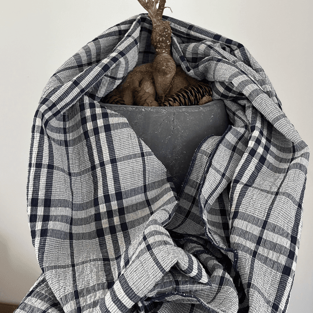 Foulard rayé 
